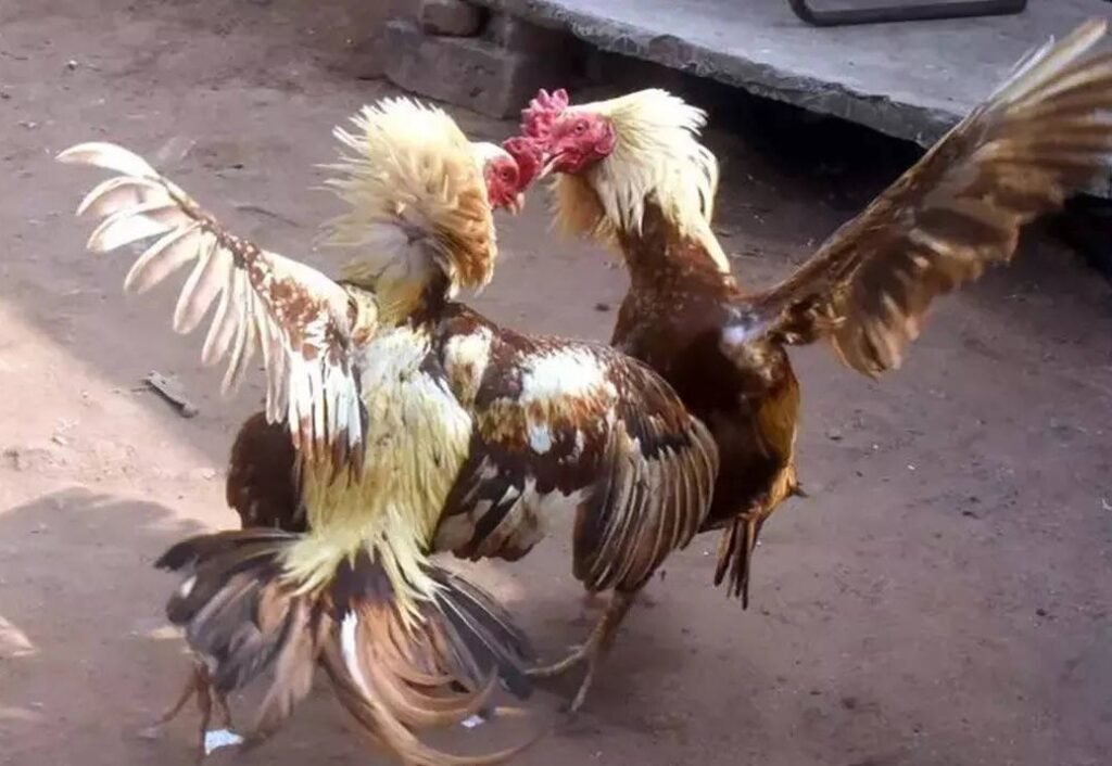 Tại Sao Chủ Đề Này Lại Quan Trọng Với "Túi Tiền" Của Bạn?