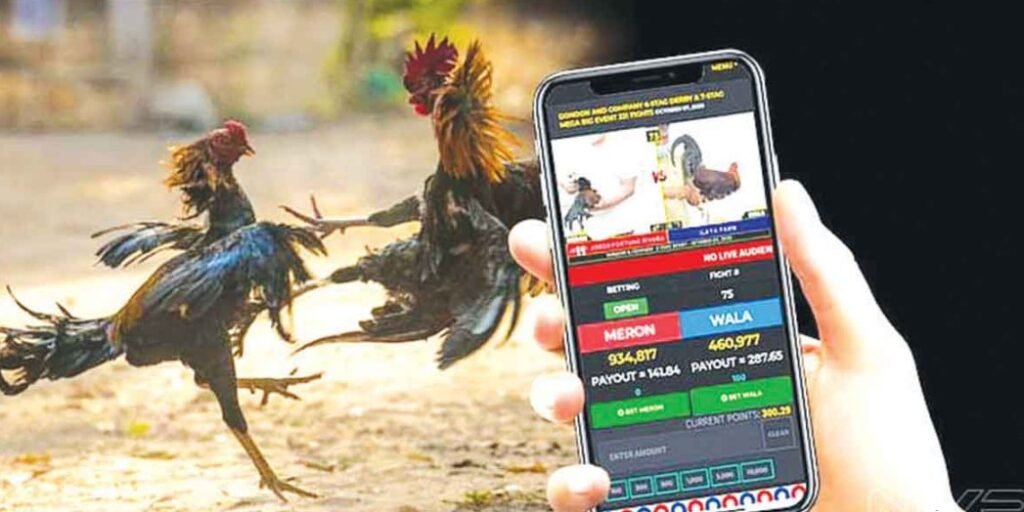 Các Hình Thức Đá Gà Bj38 Phổ Biến Nhất Hiện Nay