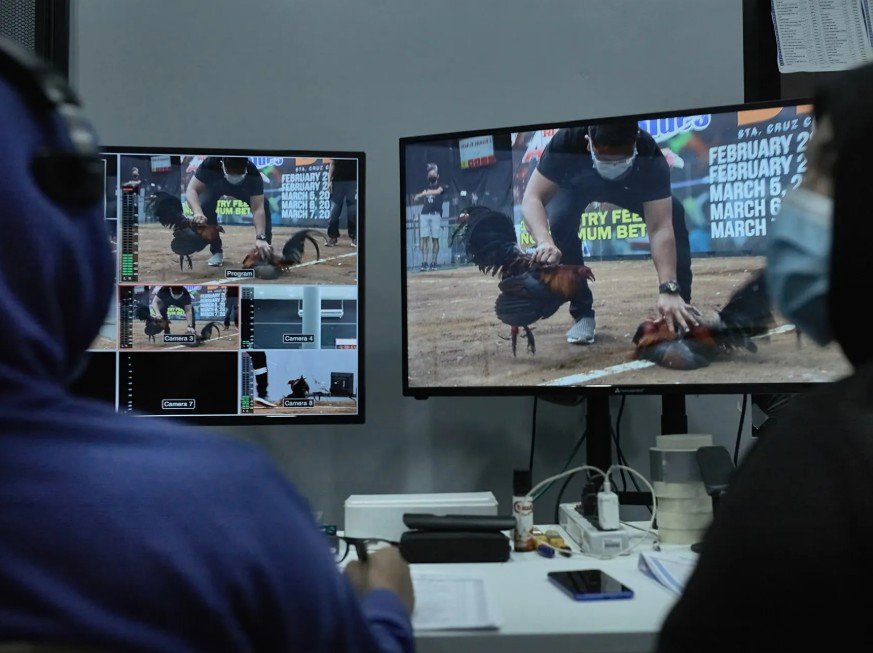 3 Sai Lầm "Chết Người" Của Người Mới Chơi Online