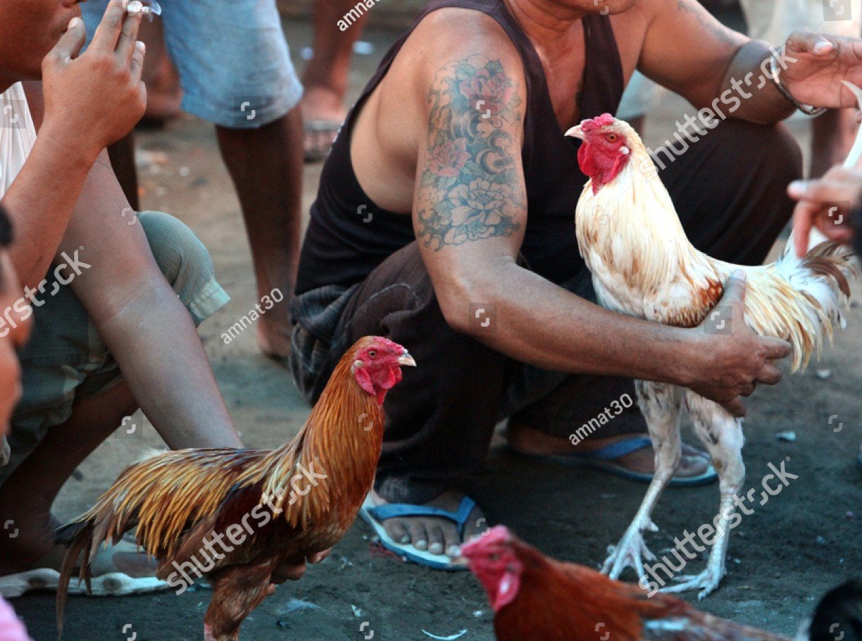 Kỹ thuật tách chuồng và quản lý không gian nuôi riêng biệt