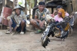 Quy Luật Tương Sinh - Tương Khắc (Cốt Lõi Của Chiến Thắng)