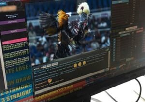 Đá Gà Online Có Bị Phạt Không? Phân Tích Rủi Ro & Cách Chơi Có Trách Nhiệm