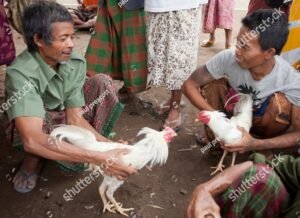 Vắc-xin & Phòng Bệnh - Lá Chắn Thép