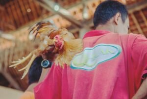 Đánh giá cấu trúc lông và màu lông liên quan đến tốc độ và sức bền